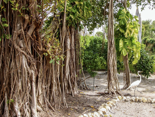 Captiva island Vacation Rental Home Seven Bedrooms with Pool